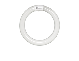 LED