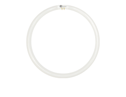 LED